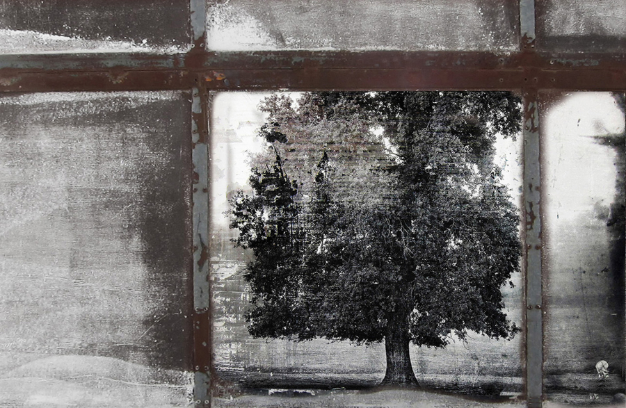 Par la fenêtre de l'écurie une mythologie personnelle  BOURDEAU Roger 4