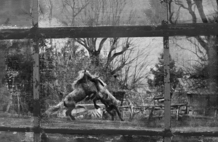 Par la fenêtre de l'écurie une mythologie personnelle  BOURDEAU Roger 6