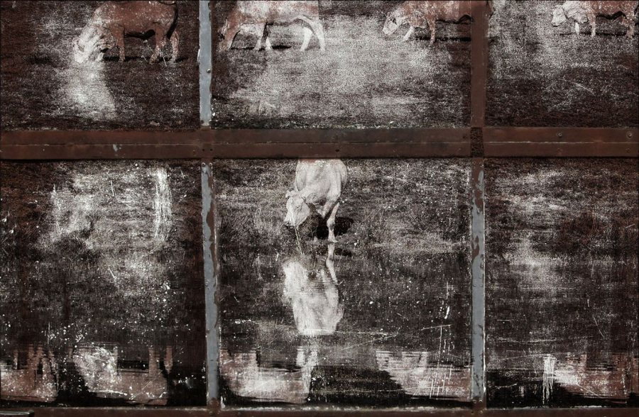 Par la fenêtre de l'écurie une mythologie personnelle  BOURDEAU Roger 7