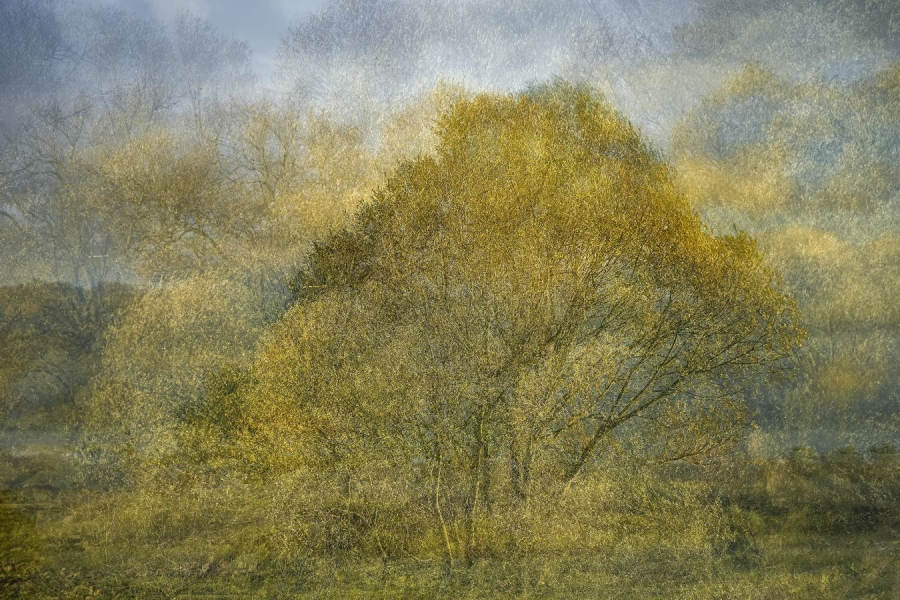 BEAUFILS Monique - Stratification