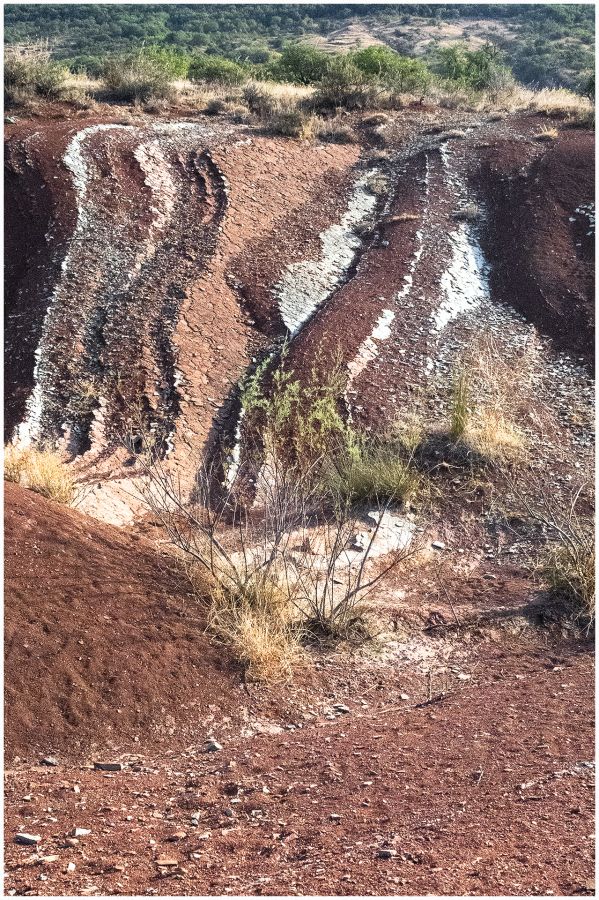 CLERC Monique - Mille-feuilles