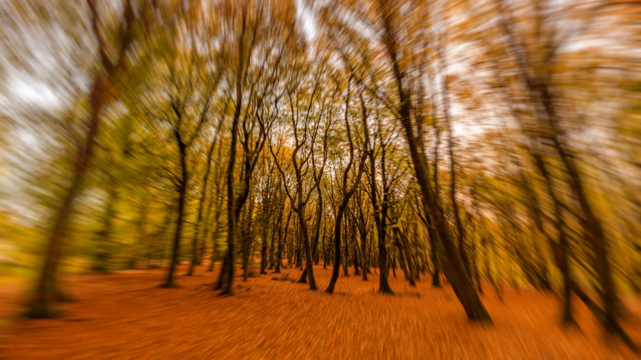 CONTASSOT Philippe - Couleurs d'automne