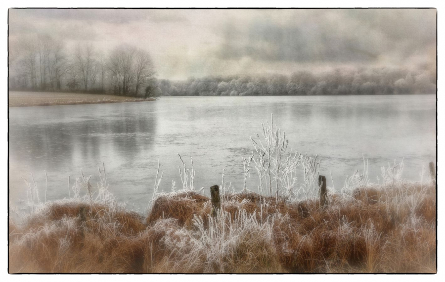 GUILLET Gilles - Nature givrée