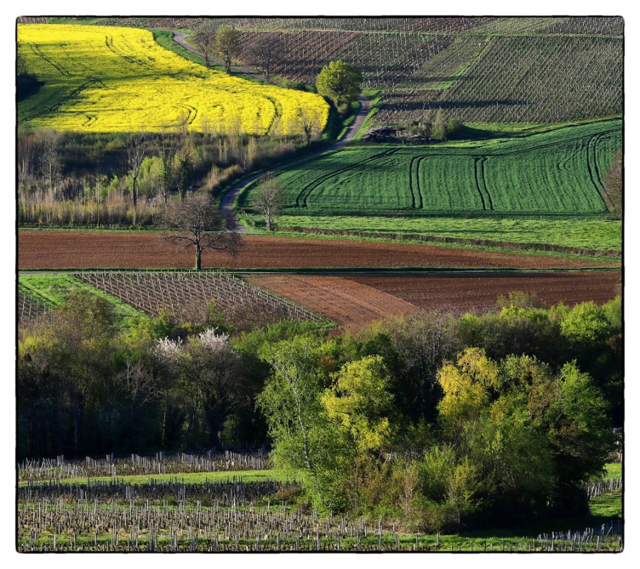 GUILLET Gilles - Parcelles
