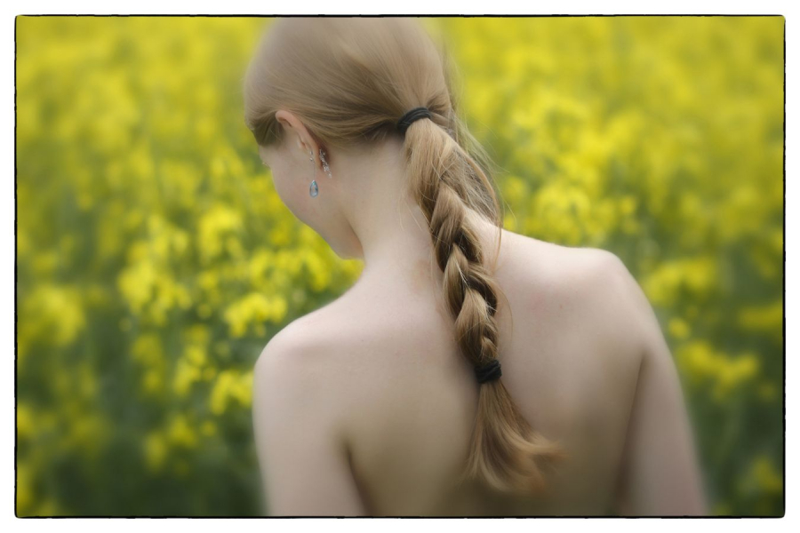 GUILLET Gilles - Tifaine