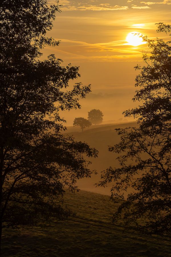 HARTMANN Philippe - Aurore