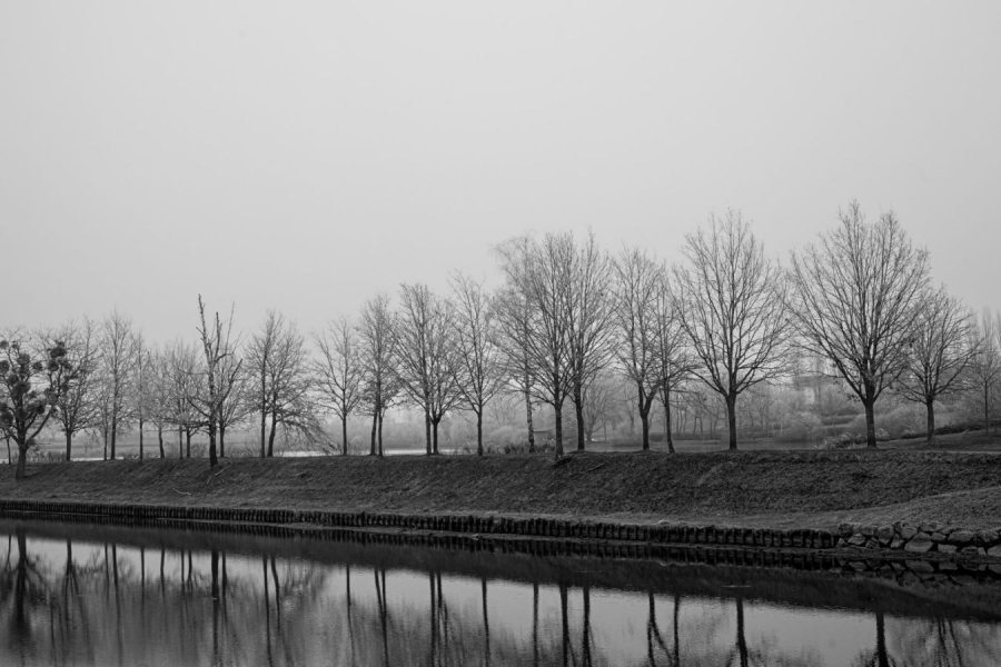 ALBESSARD Dominiqe - Allée des soupirs