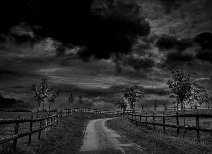 ALBESSARD Dominiqe - Le domaine de Rymska