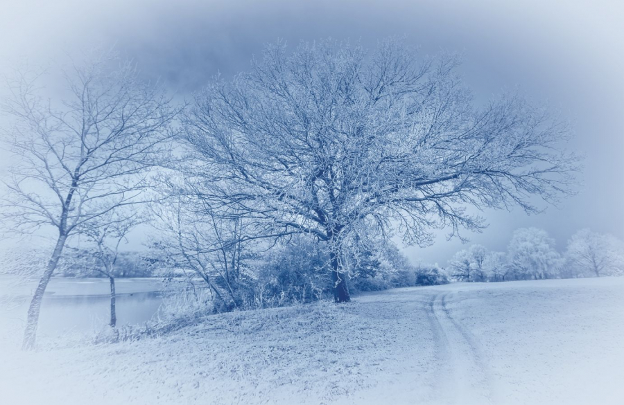 LAMBOEUF Bernard - Matin d'hiver