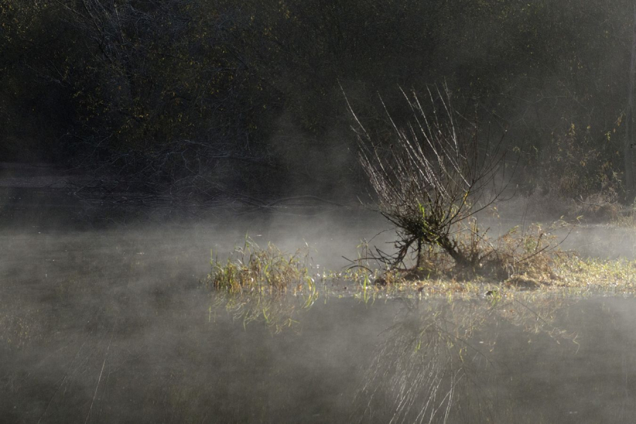 BOURDEAU Roger - Rambuteau2