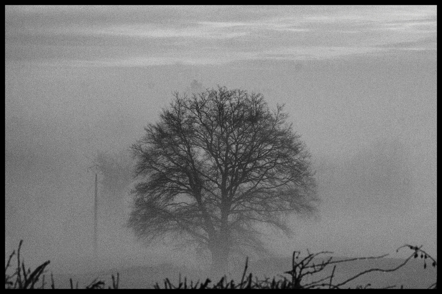 Ce 23 février,près de chez moi - BOURDEAU Roger 1