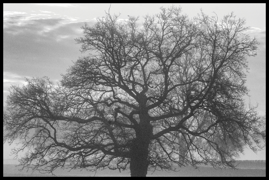 Ce 23 février,près de chez moi - BOURDEAU Roger 2