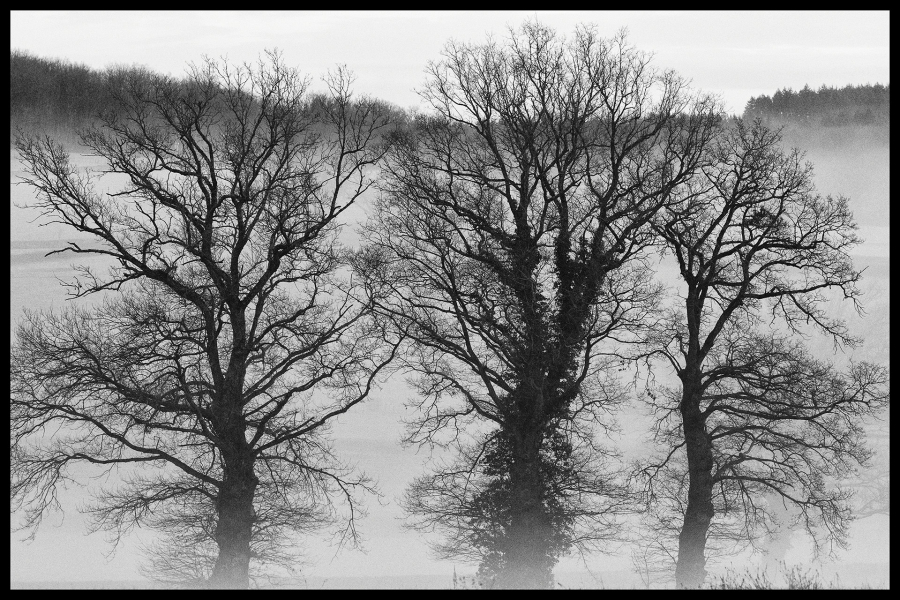 Ce 23 février,près de chez moi - BOURDEAU Roger 3