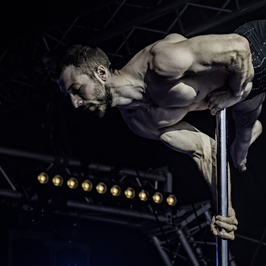 Pole dance - MILLIET Laurent 3