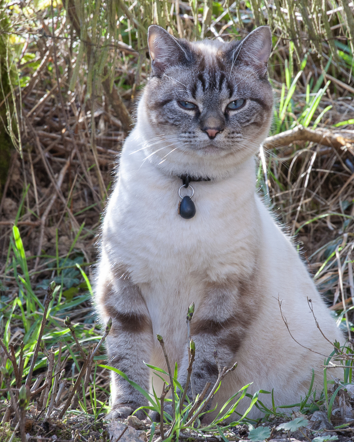 T'as de beaux yeux_2