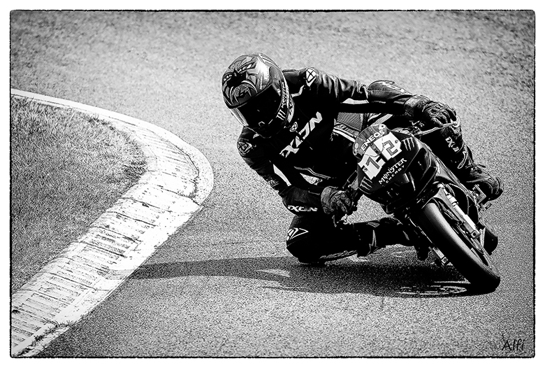 DSC_0152X - Copie - Copie