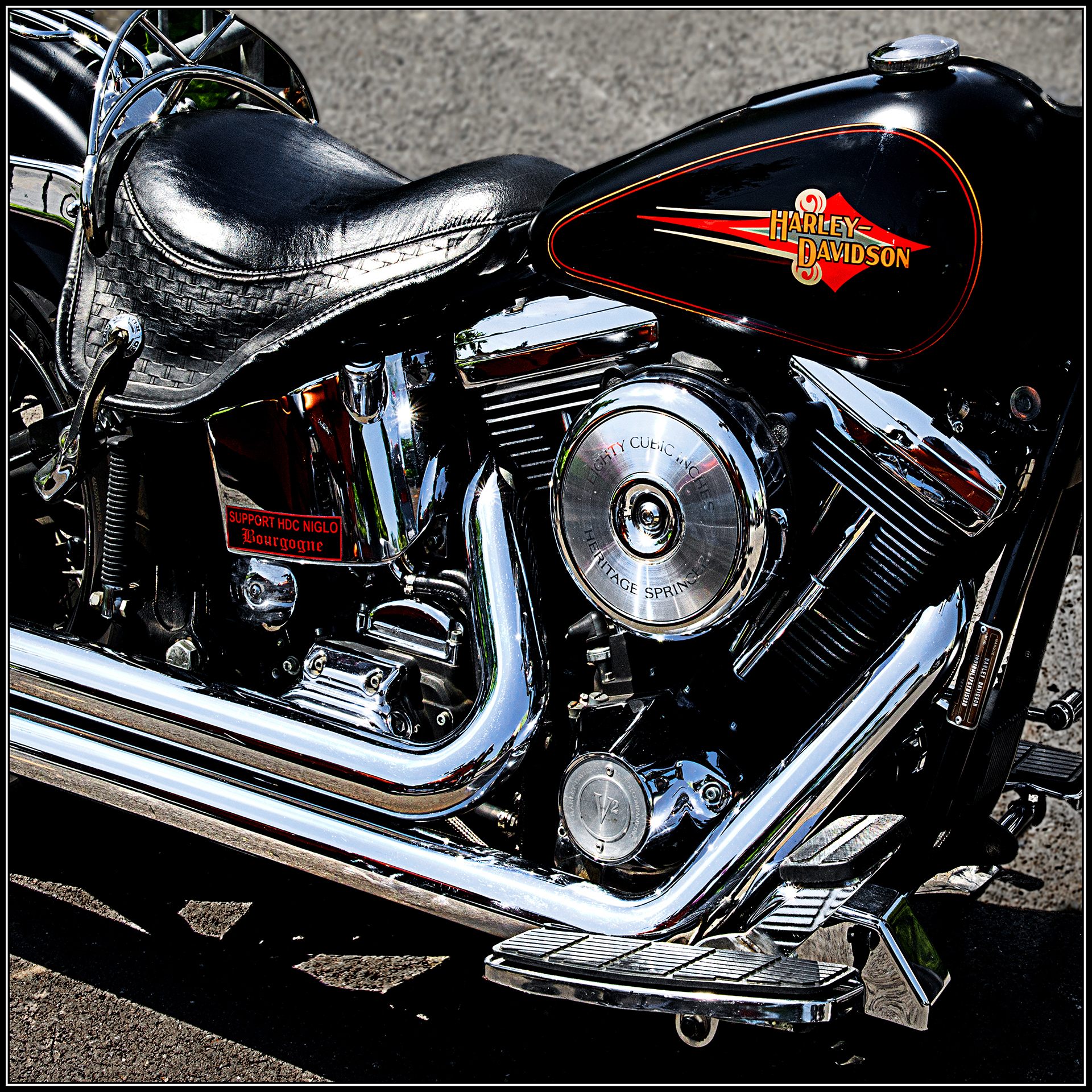 beau-a-01_48422219081_o