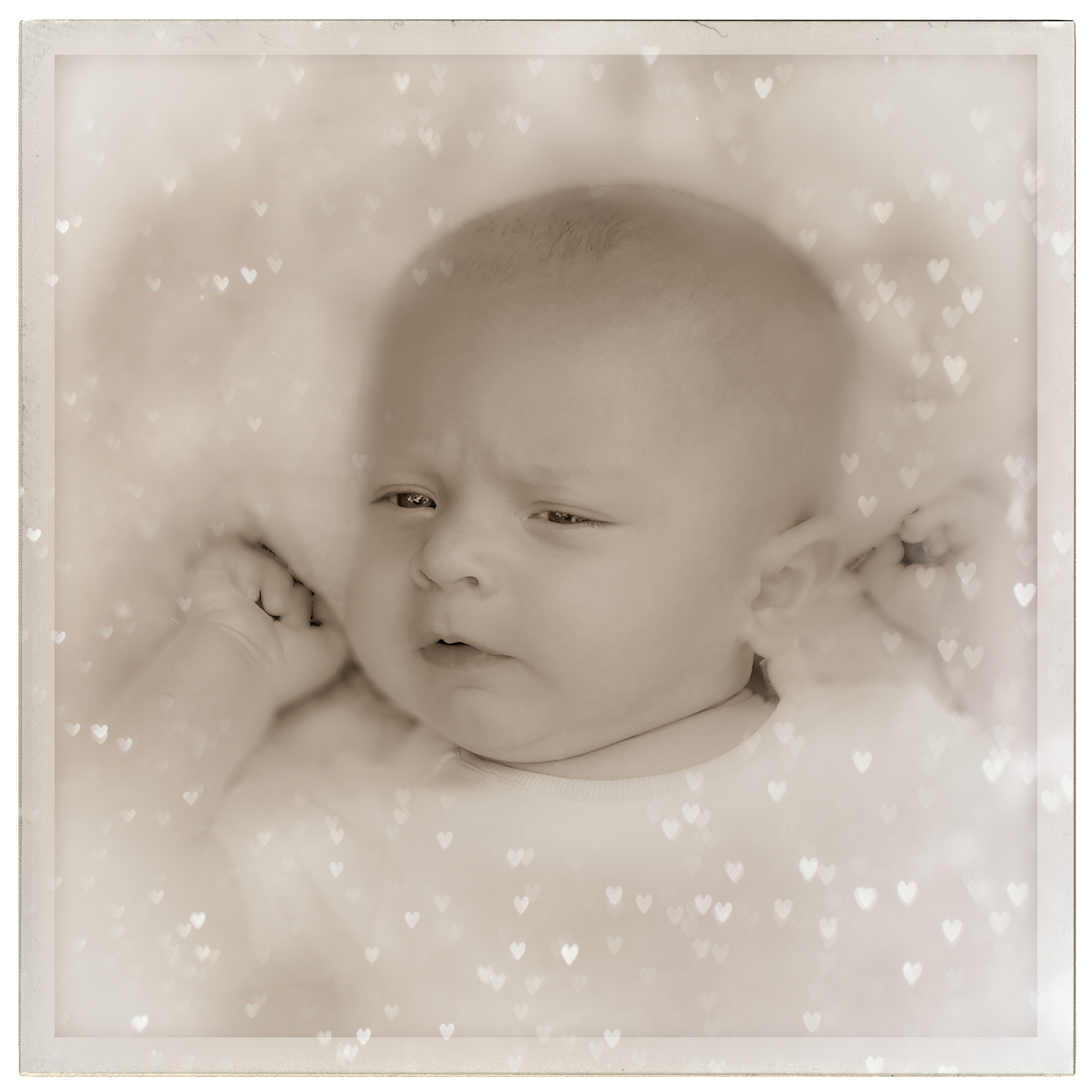 berry-jc-01_48422333962_o