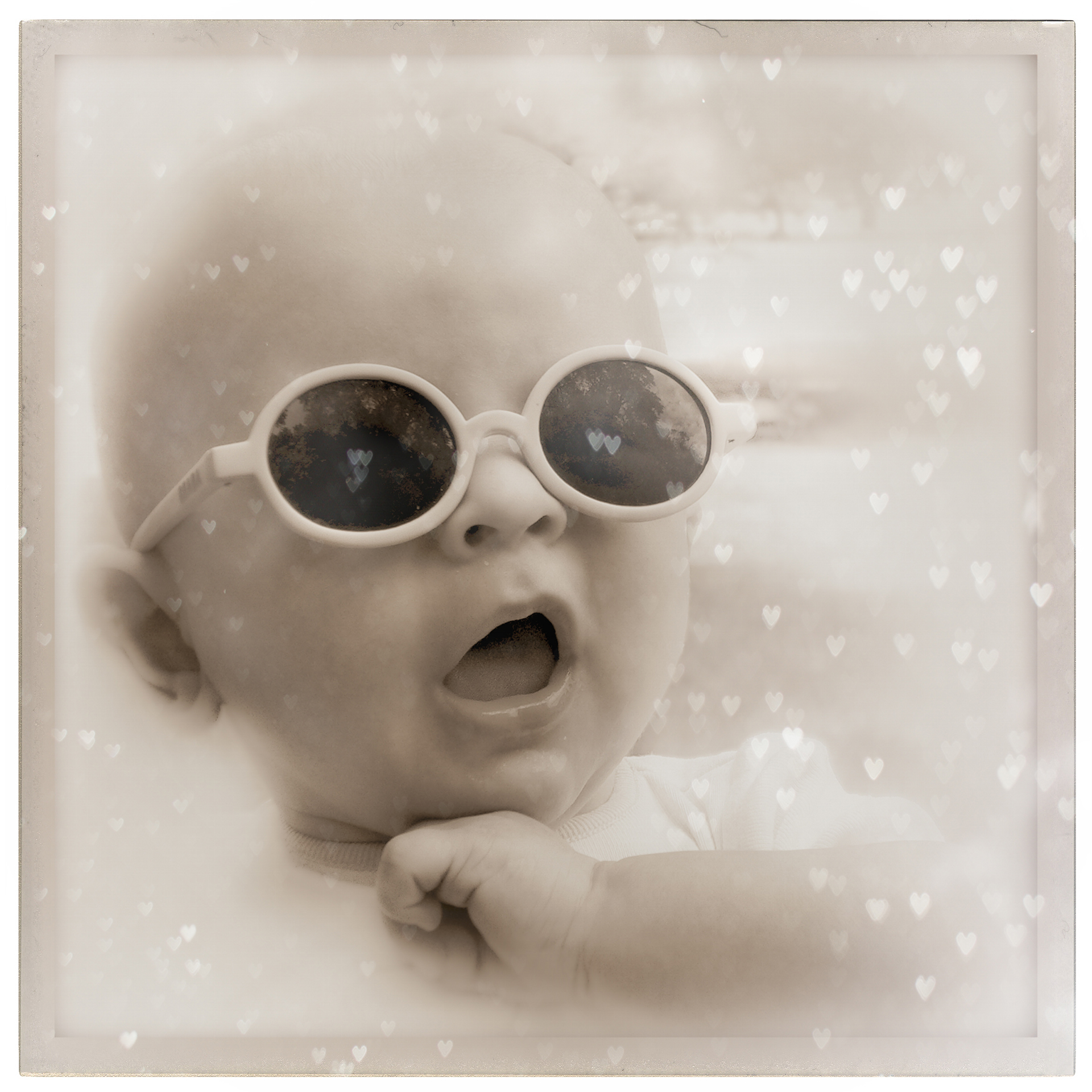 berry-jc-04_48422176666_o