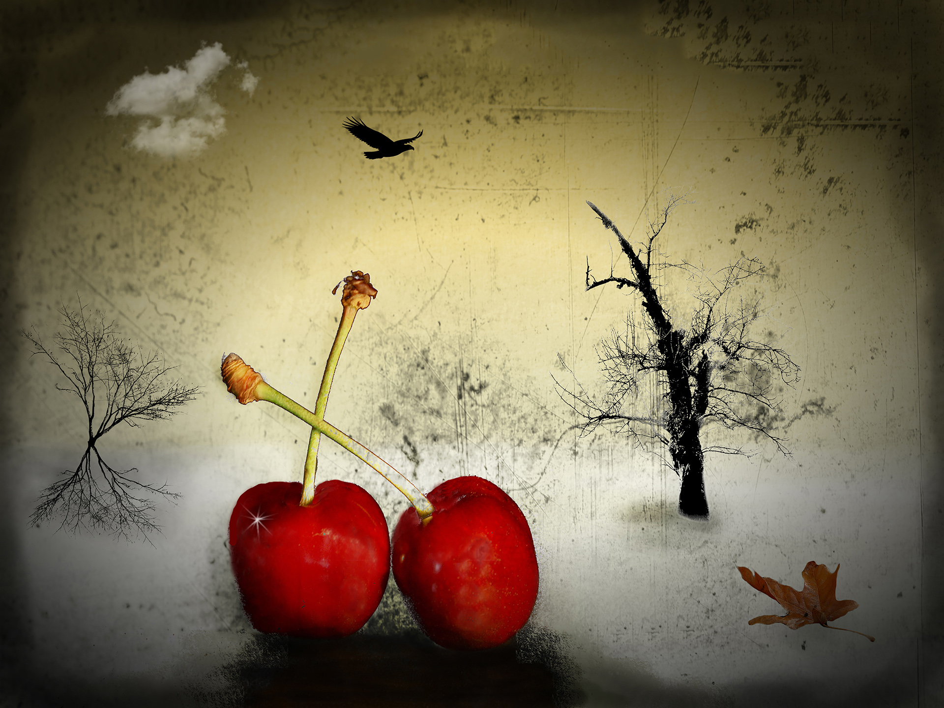 dumont-y-01_48422253301_o