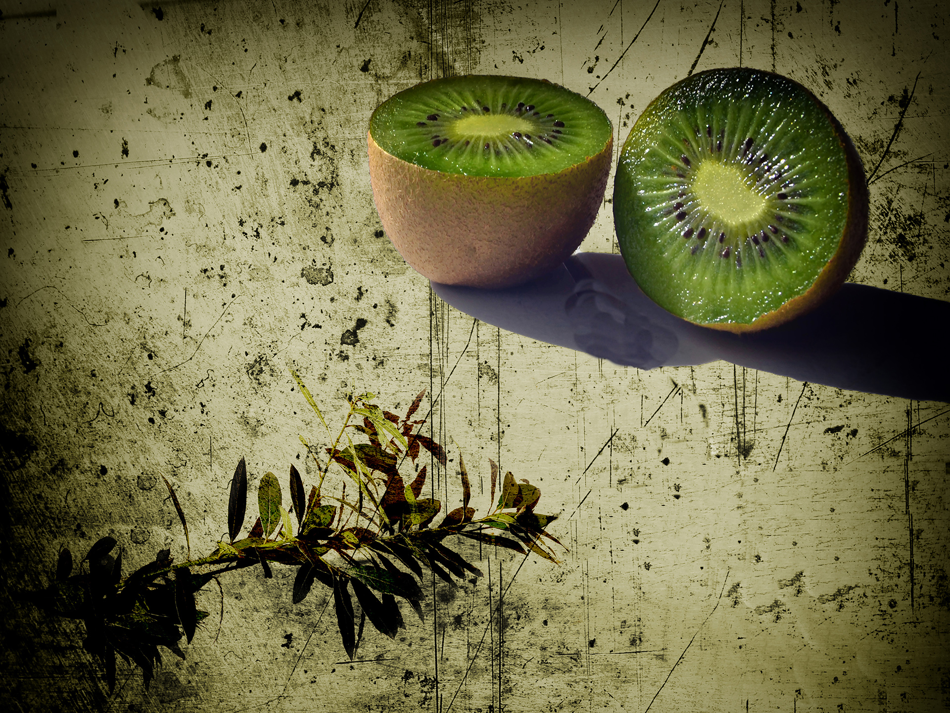 dumont-y-02_48422402217_o