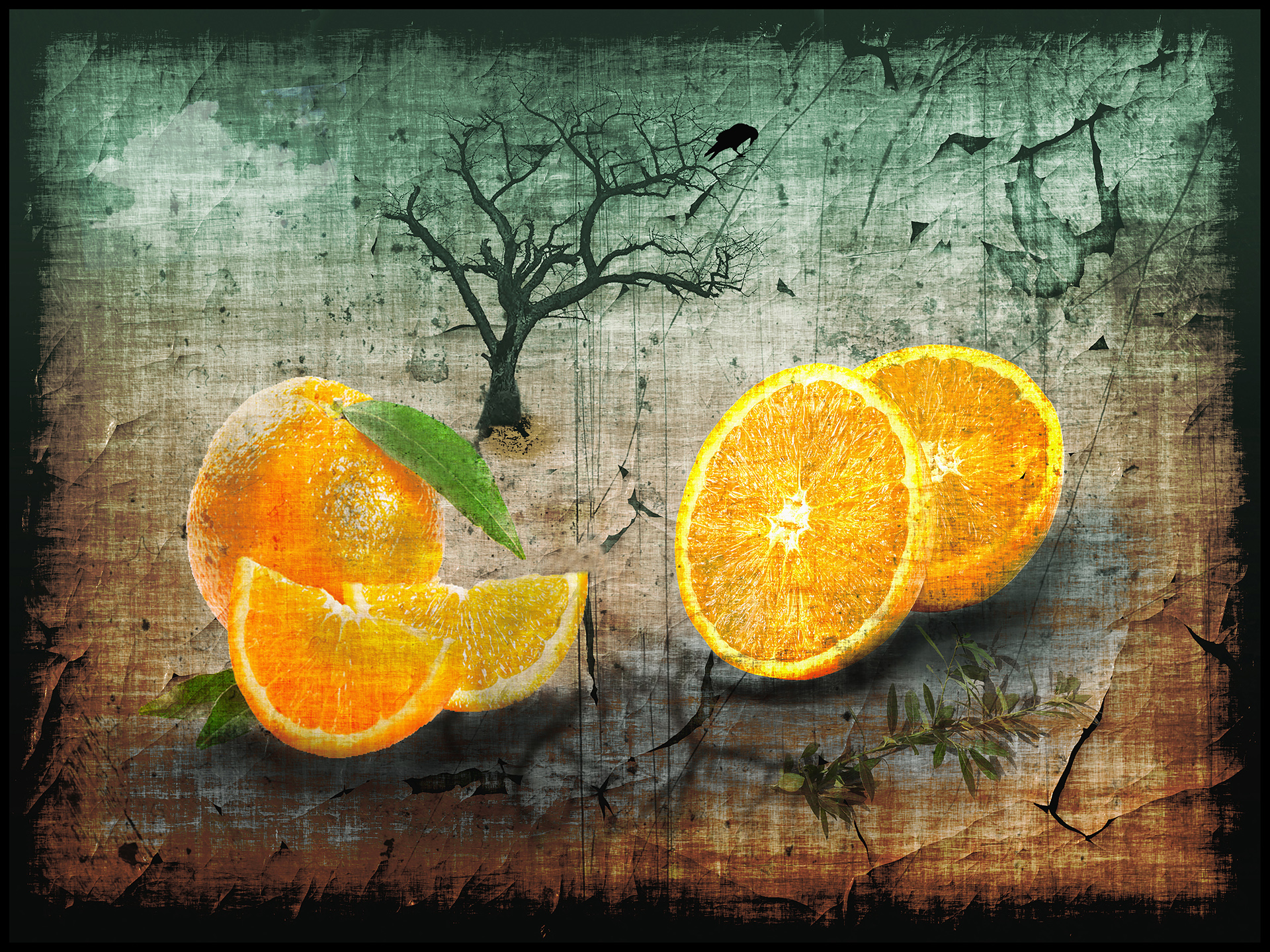 dumont-y-03_48422247836_o