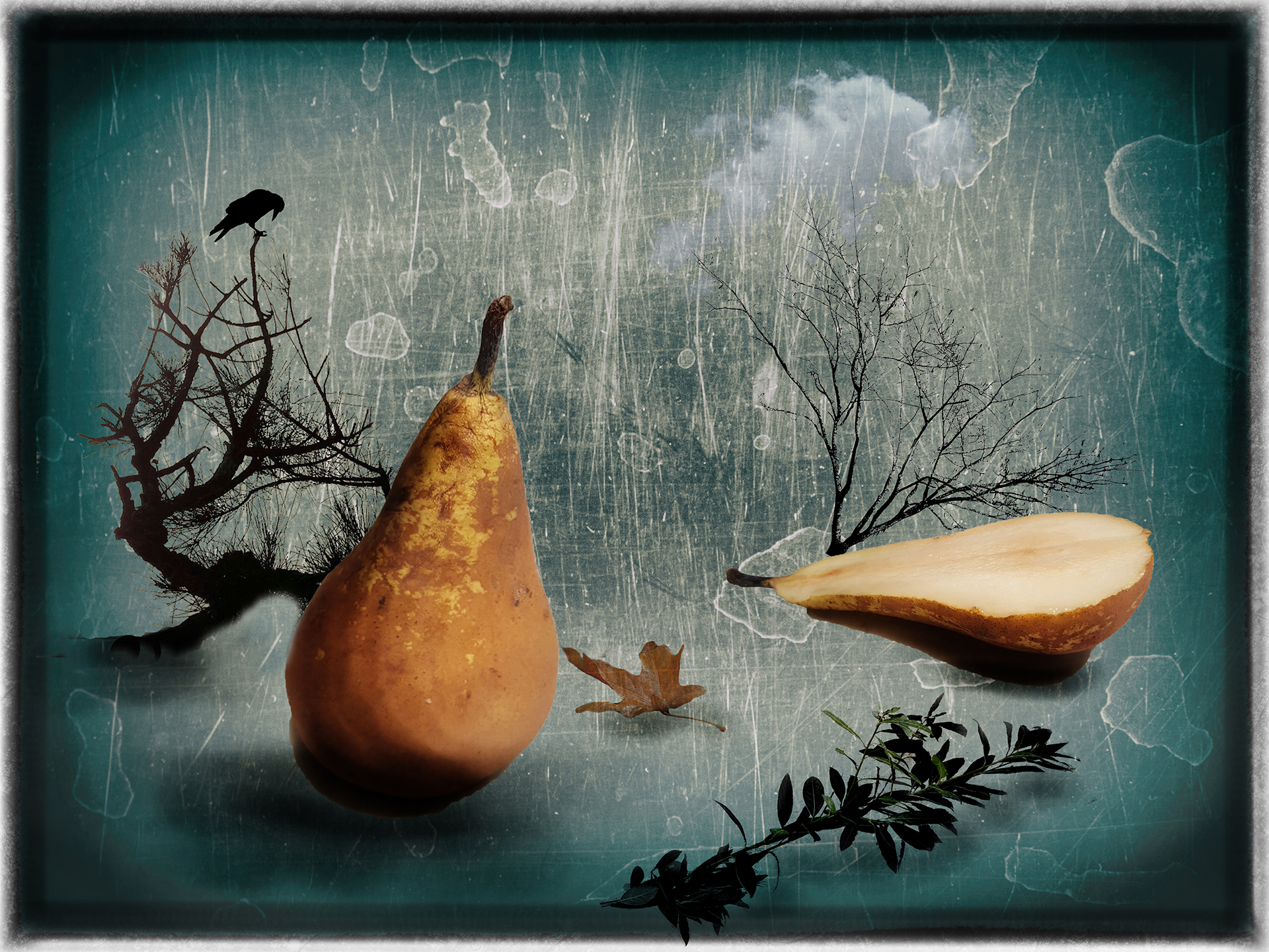 dumont-y-04_48422255326_o