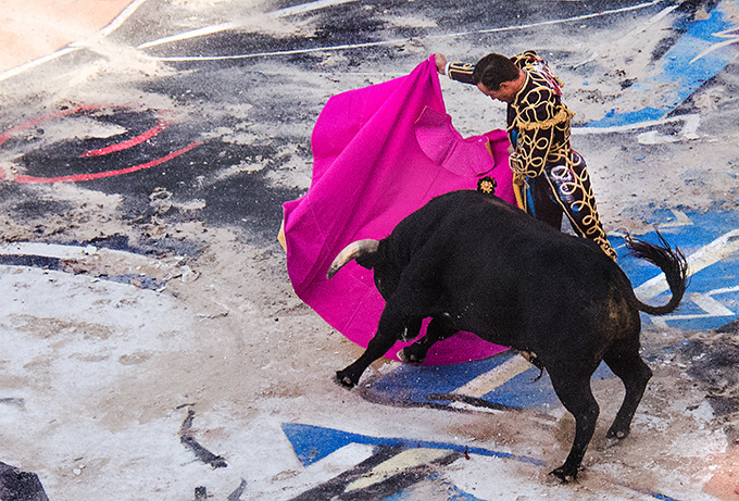 fiault-a-03_48422398302_o