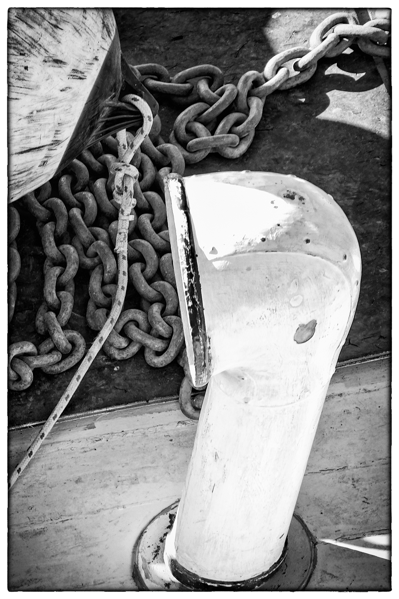 grebot-a-03_48422495312_o