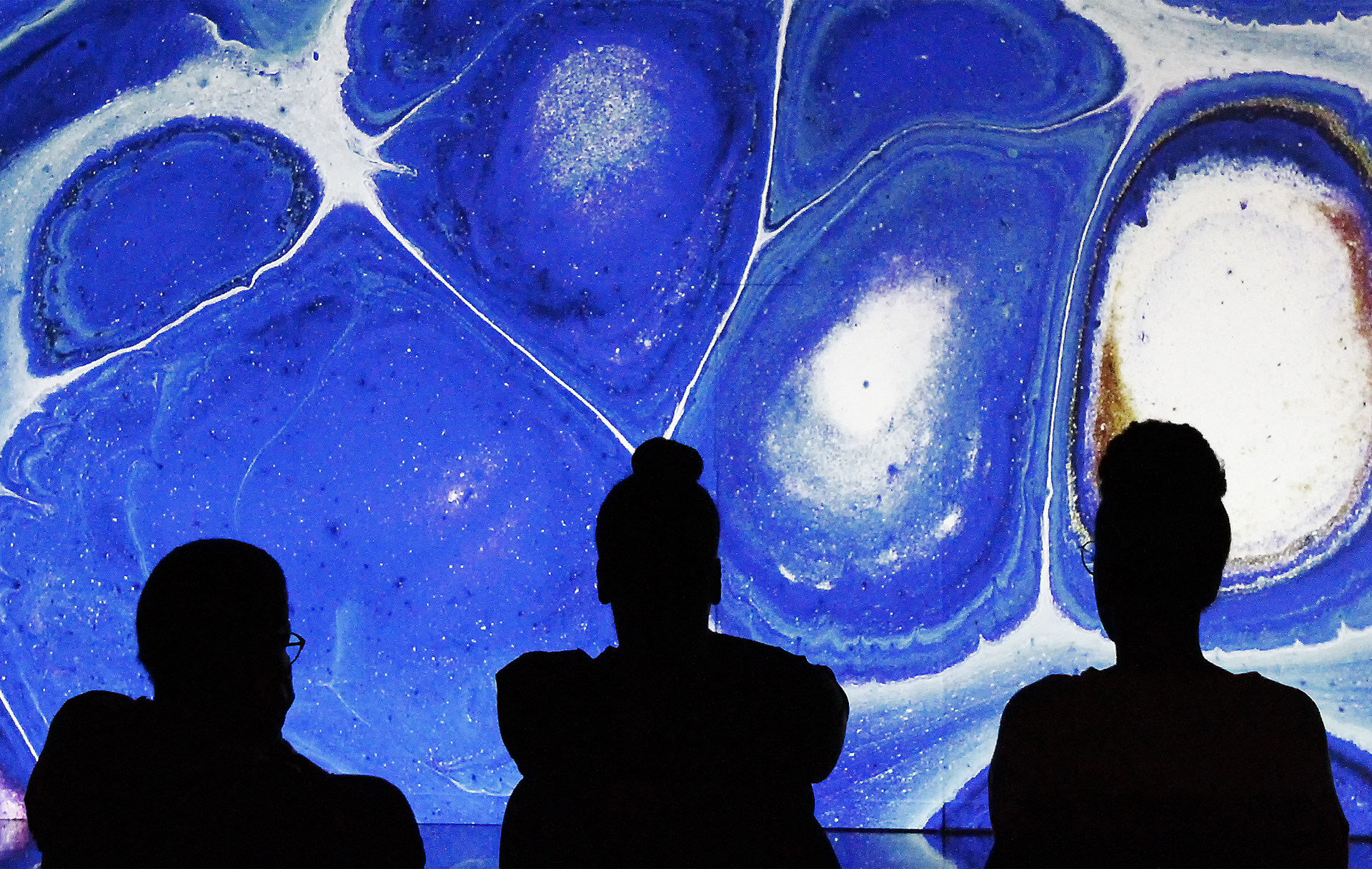 guillet-ph-03_48422480517_o