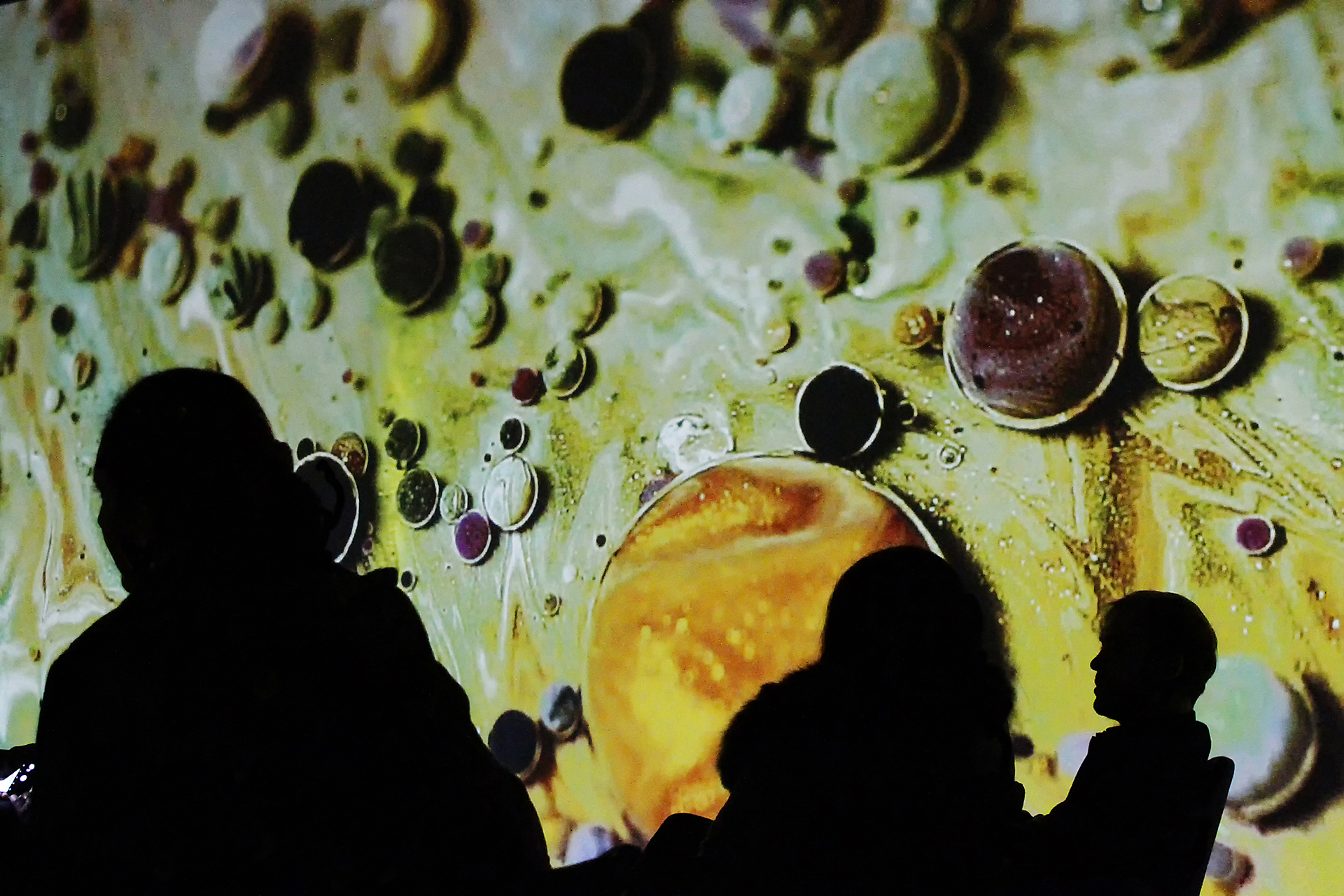 guillet-ph-04_48422476377_o