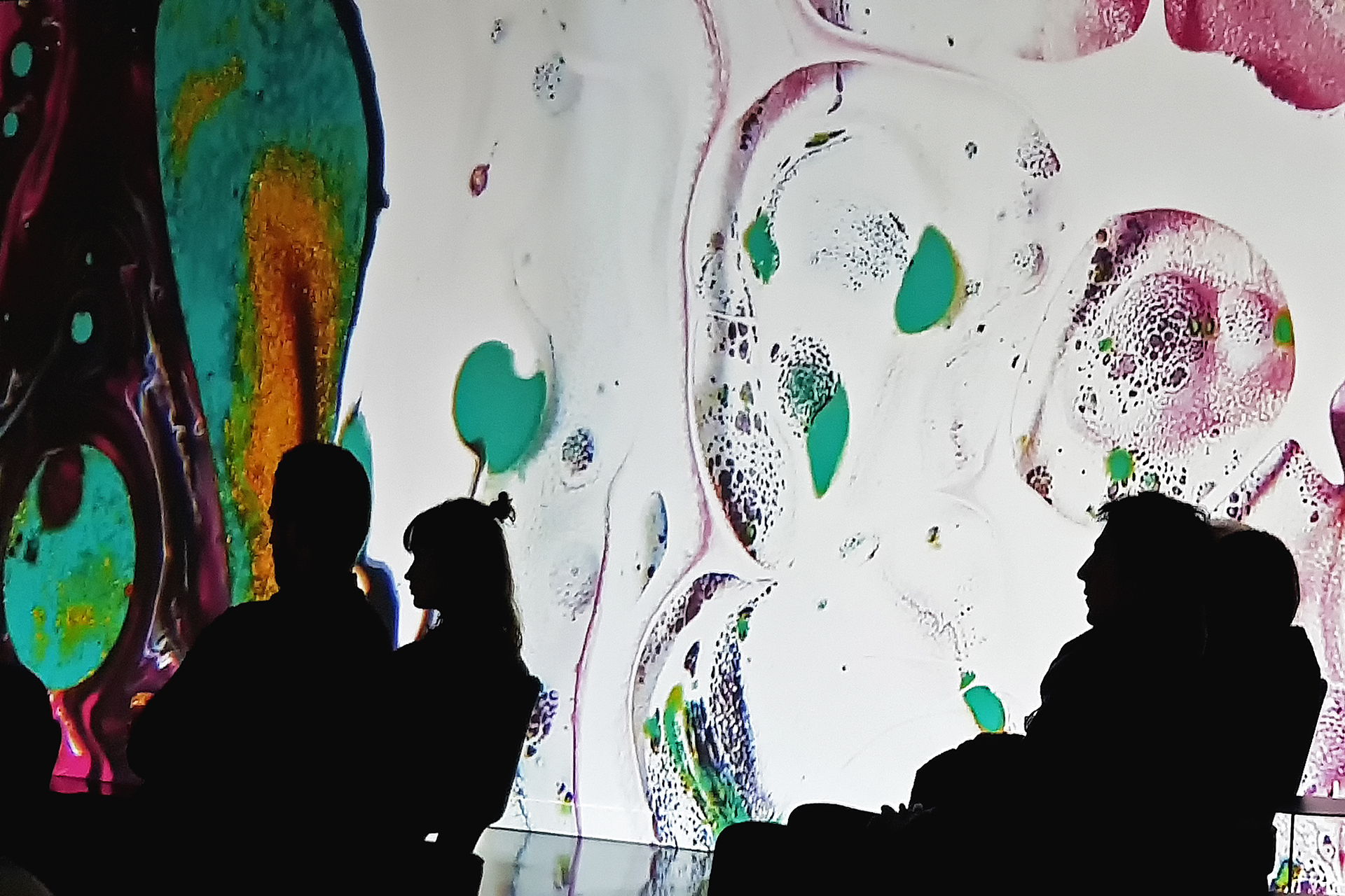 guillet-ph-06_48422486802_o