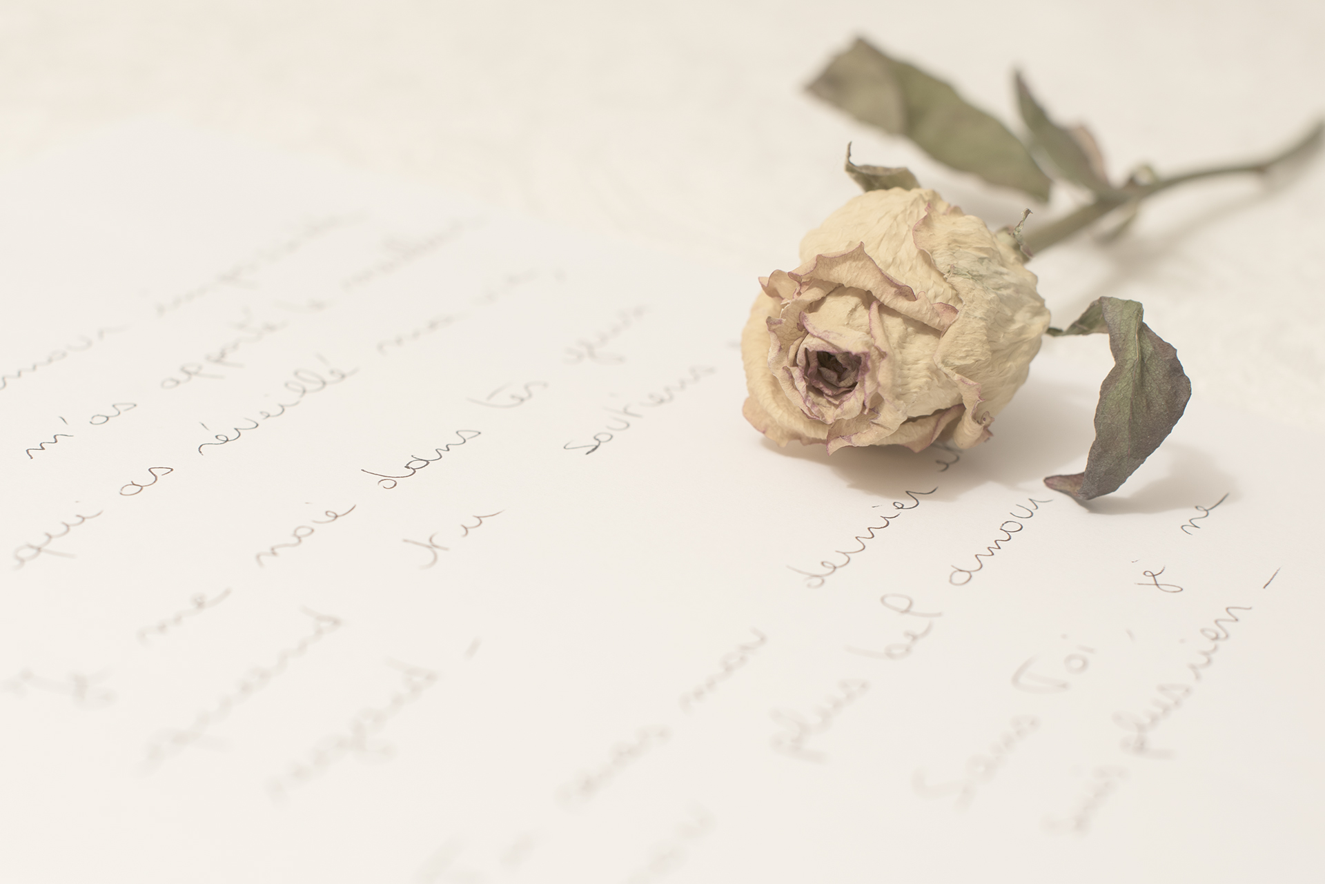 guinot-e-03_48422321711_o