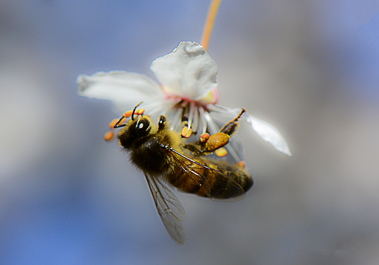 le-ray-p-03_48422907277_o