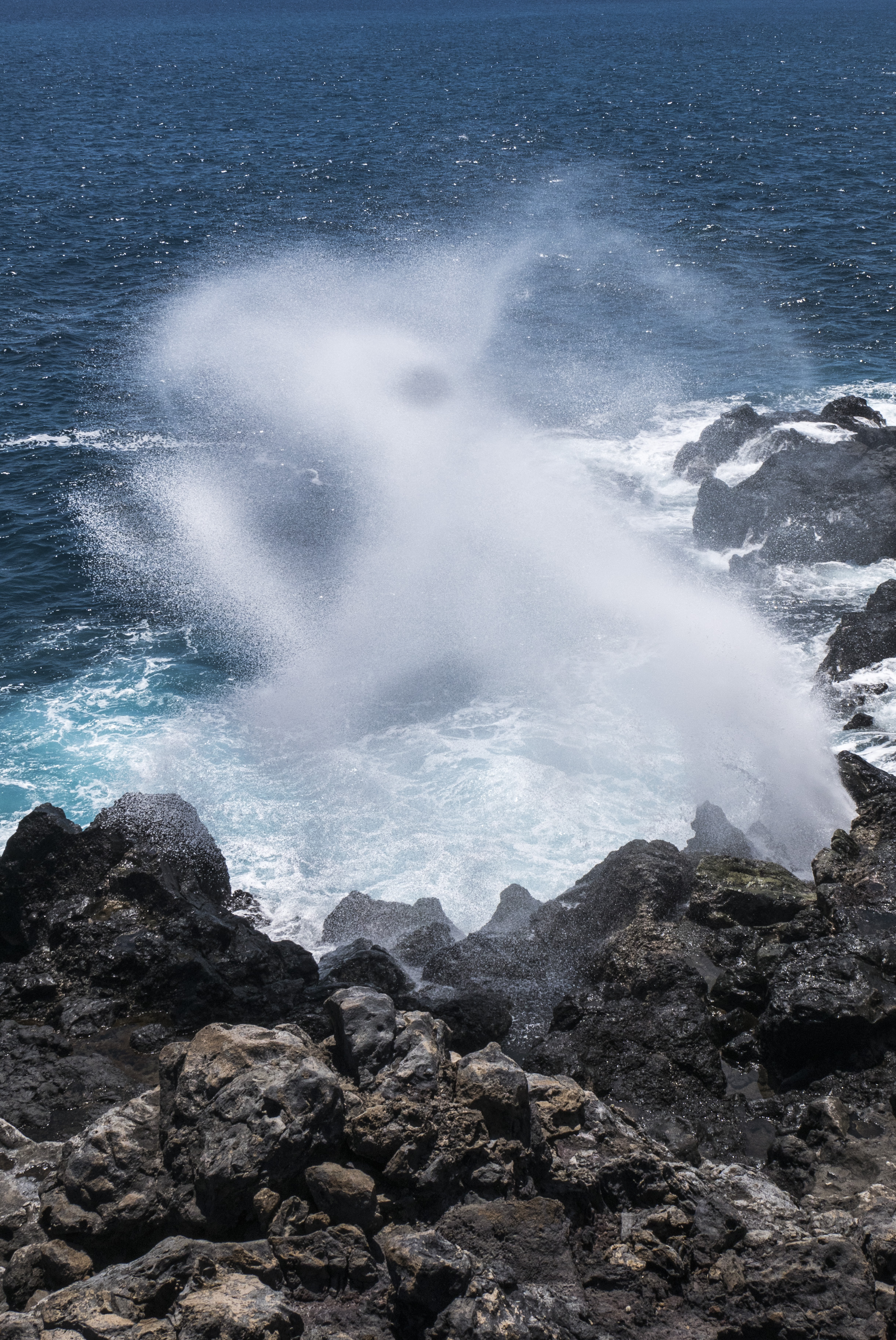 maciazek-e-01_48422947762_o