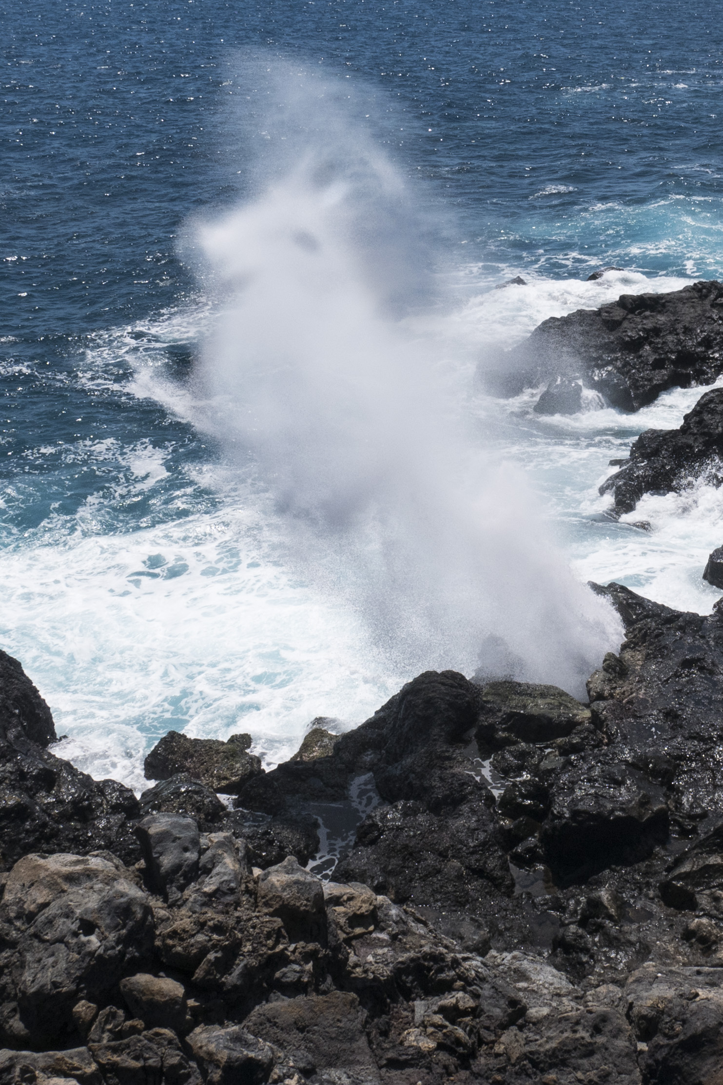 maciazek-e-04_48422949197_o