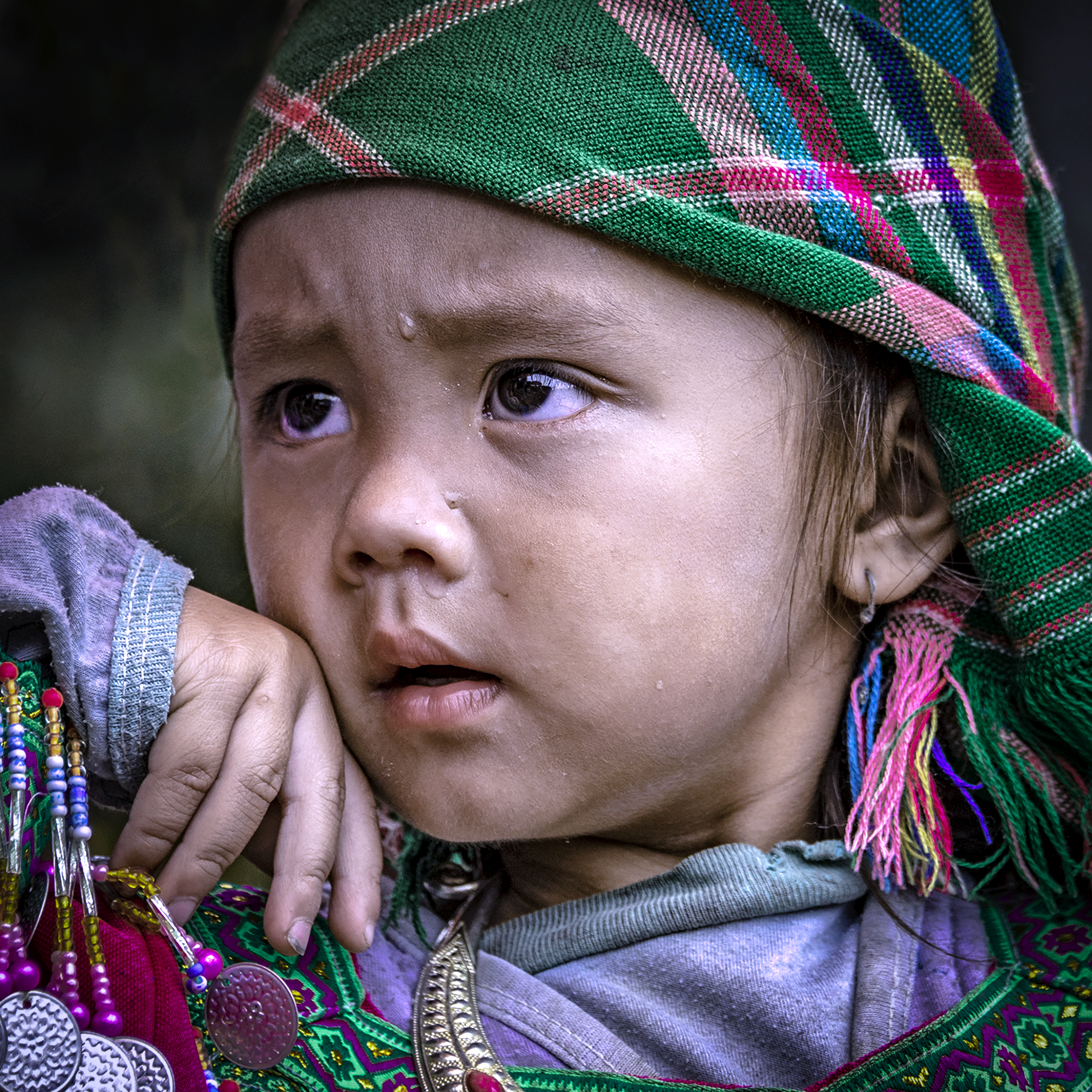 martinet-t-01_48422779502_o