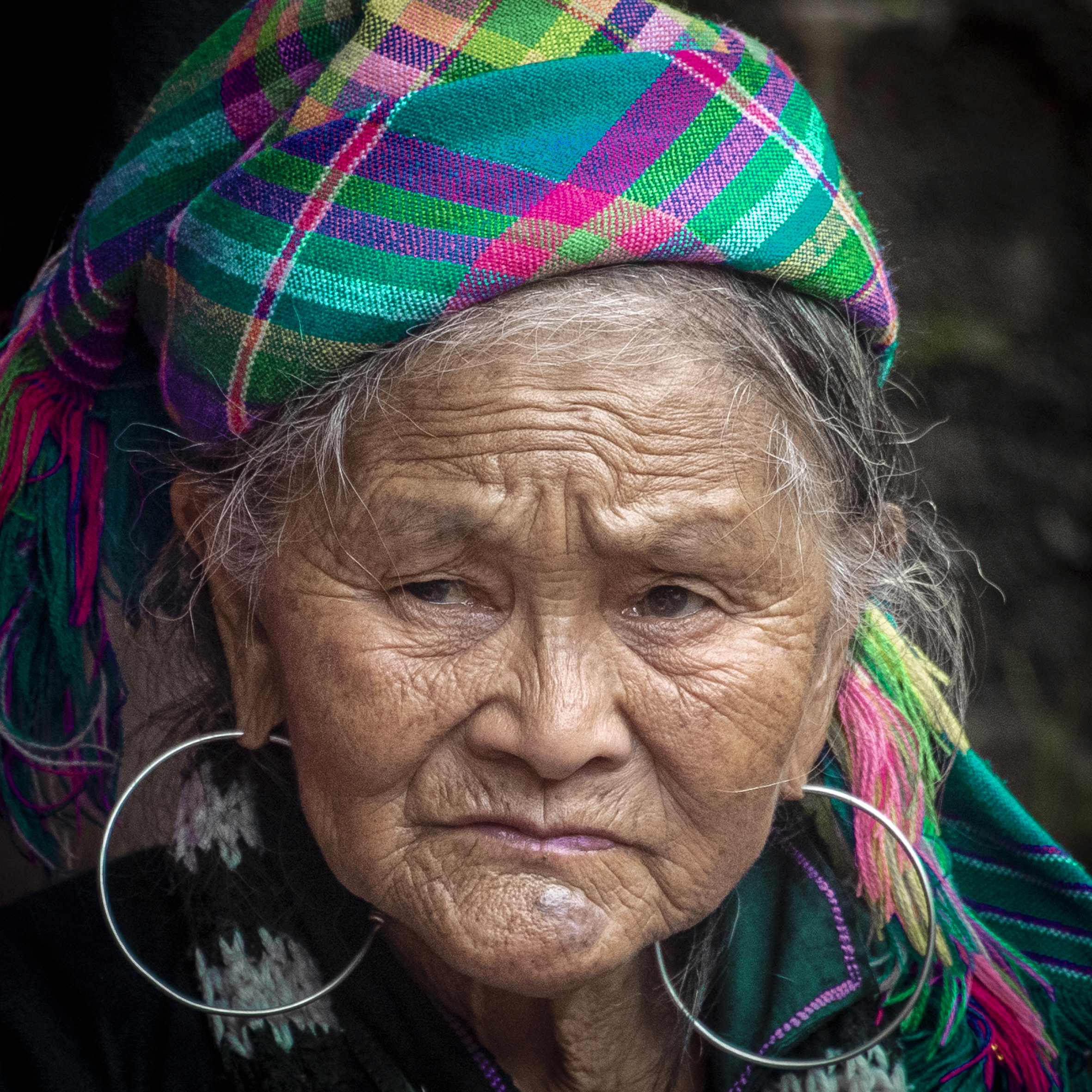 martinet-t-04_48422785937_o