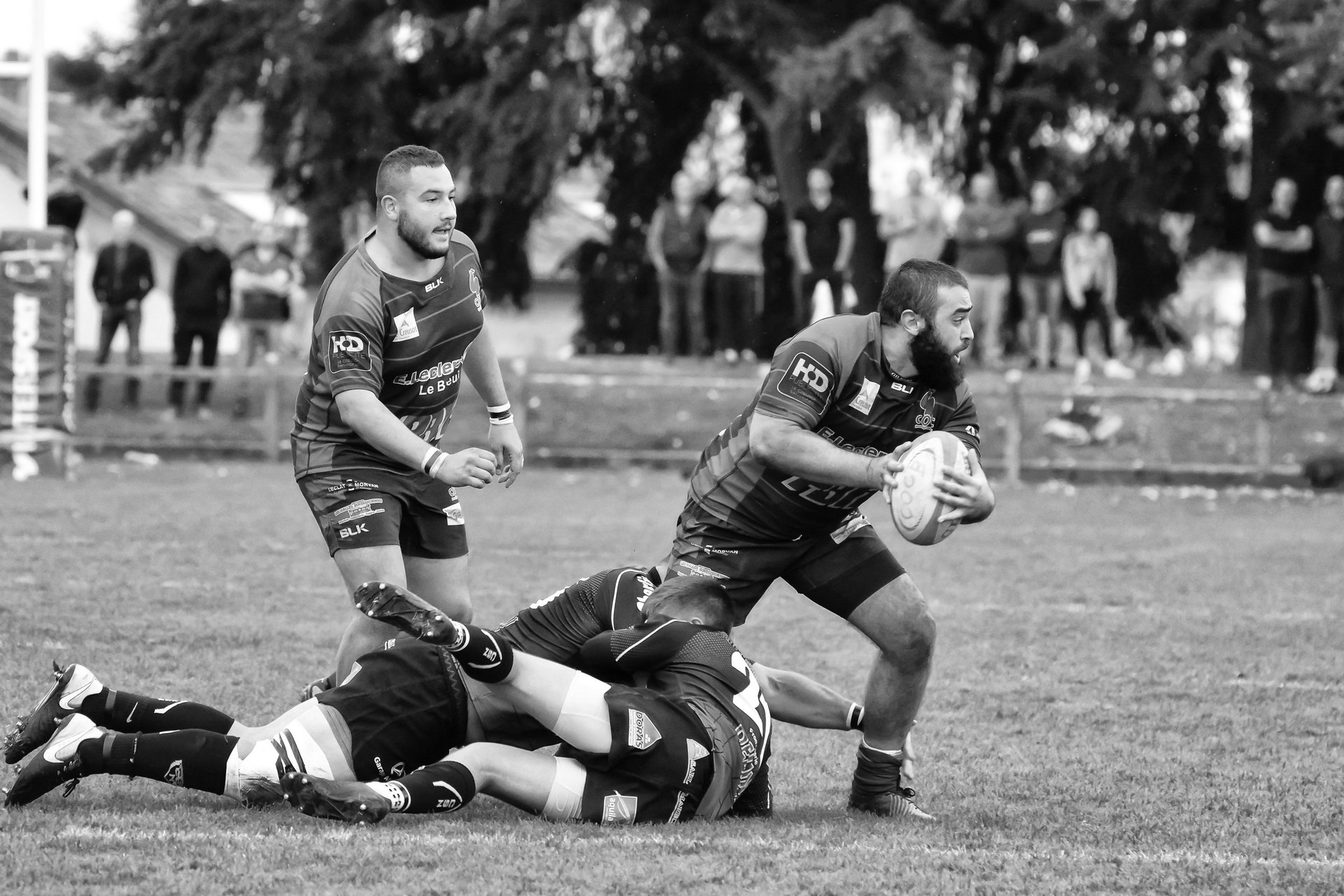 migaleddu-b-03_48422613051_o