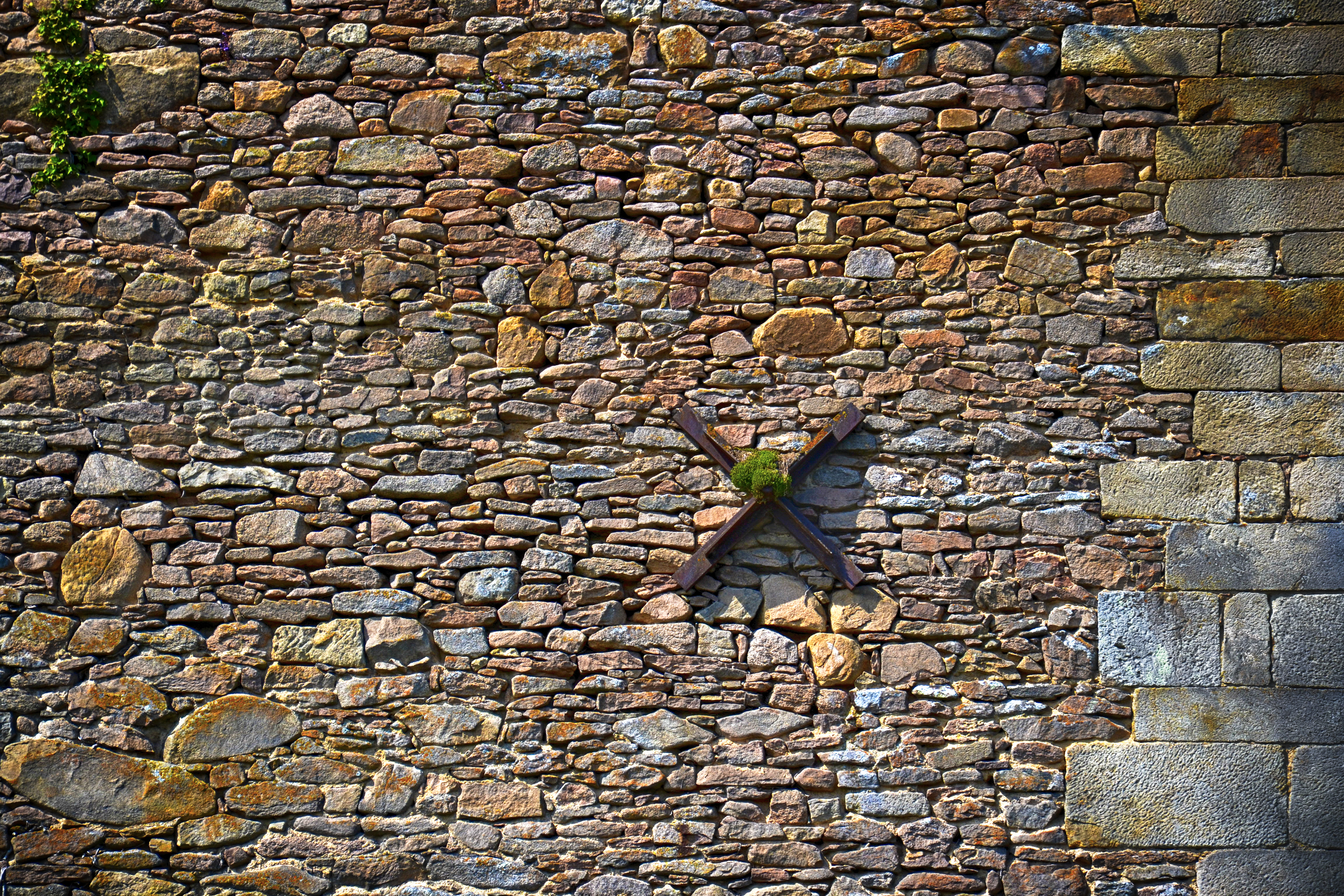 noiziller-p-04_48422606251_o