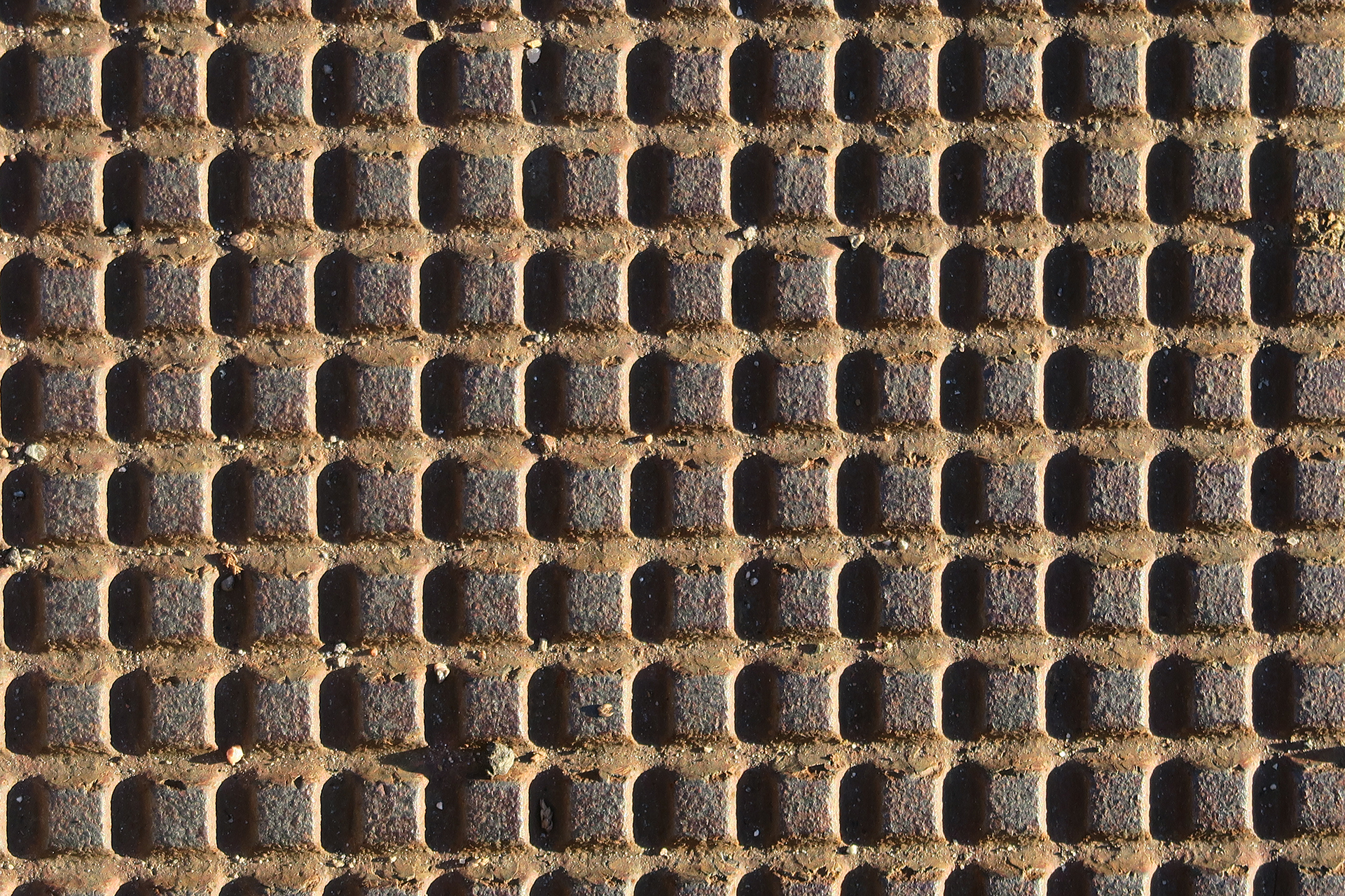 pardo-miller-m-04_48422529051_o