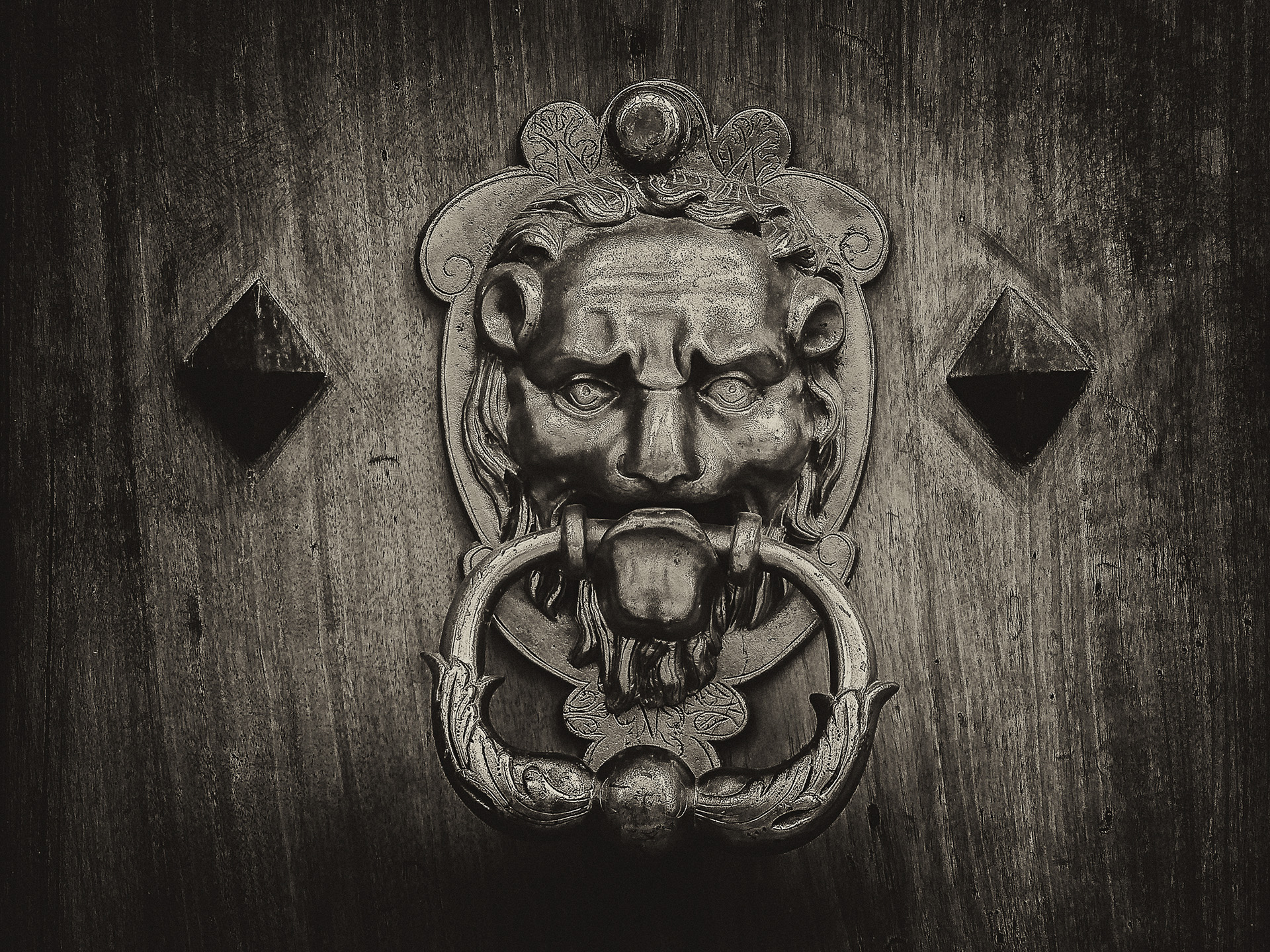 rorhfuss-g-02_48422515806_o