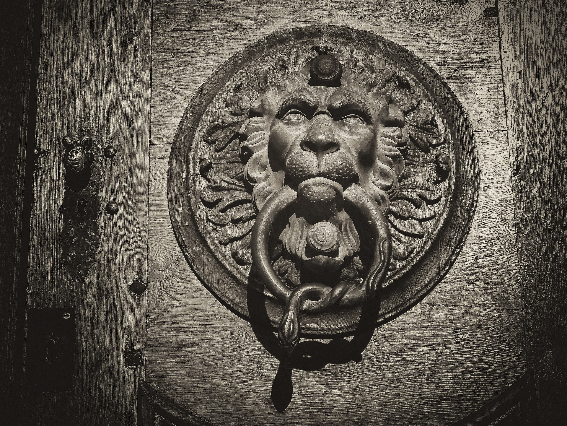 rothfuss-g-01_50983160567_o