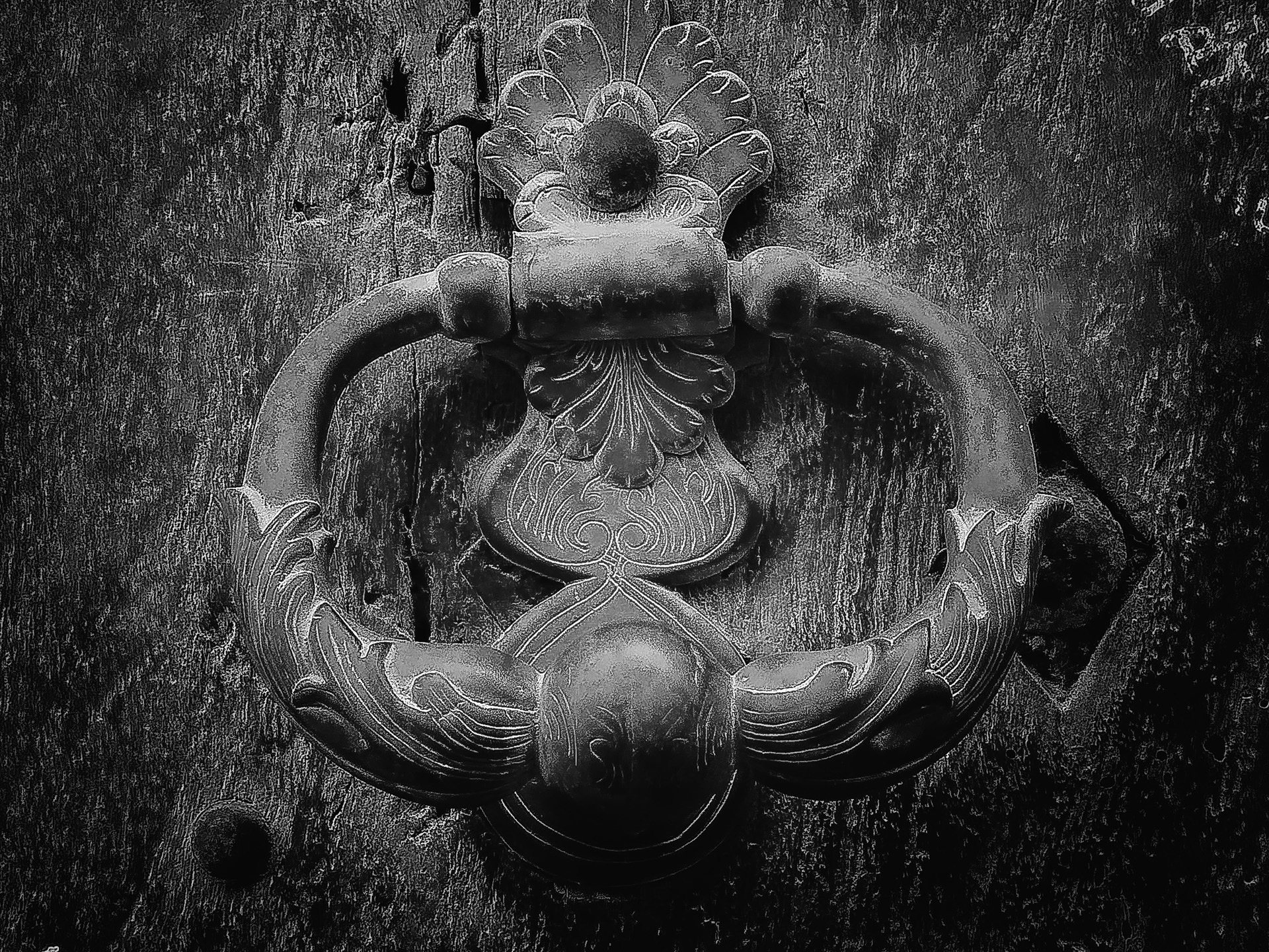 rothfuss-g-03_50982352443_o