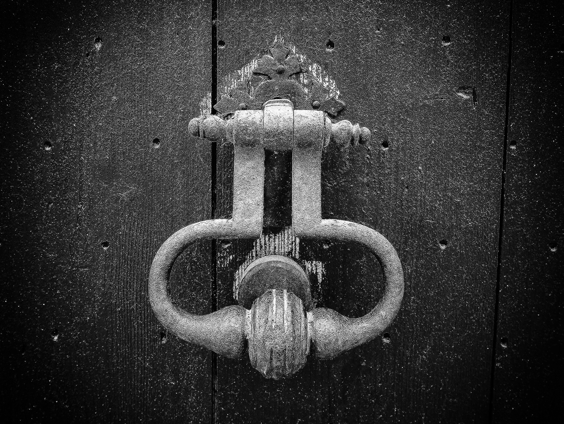 rothfuss--g-nb_48422670777_o