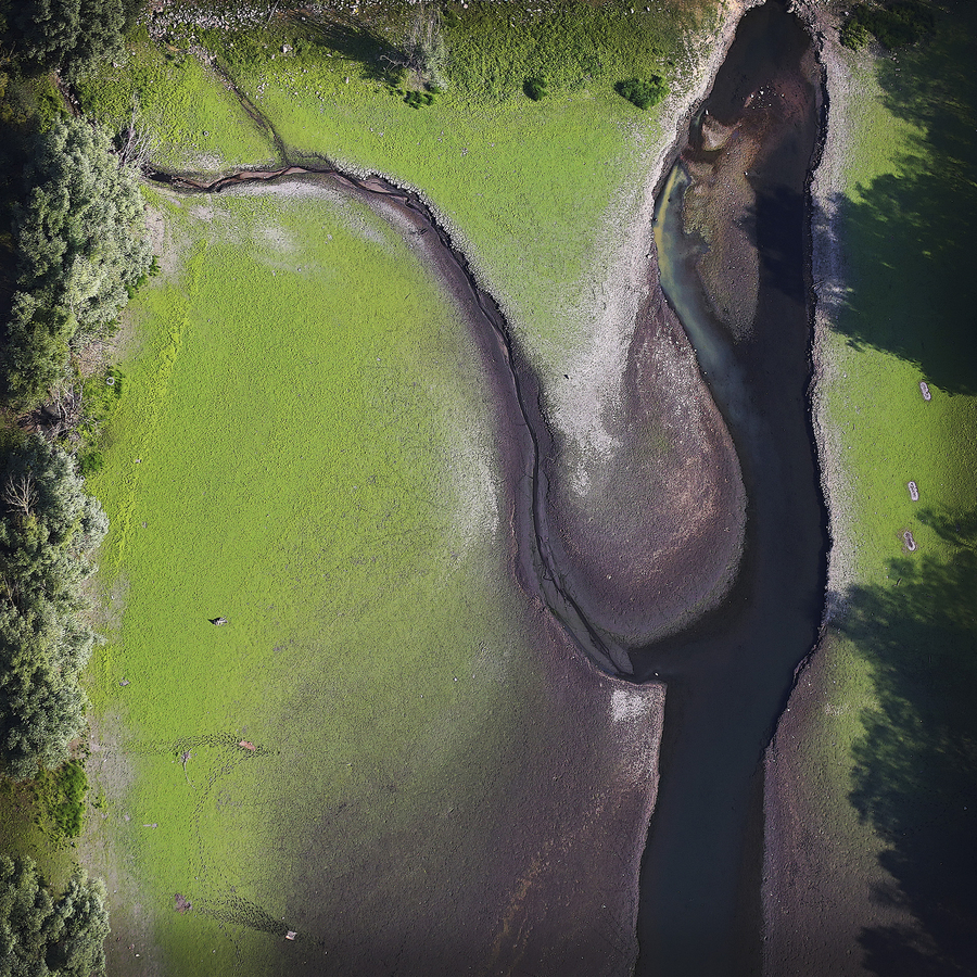 01---anguille-verte_51992387675_o