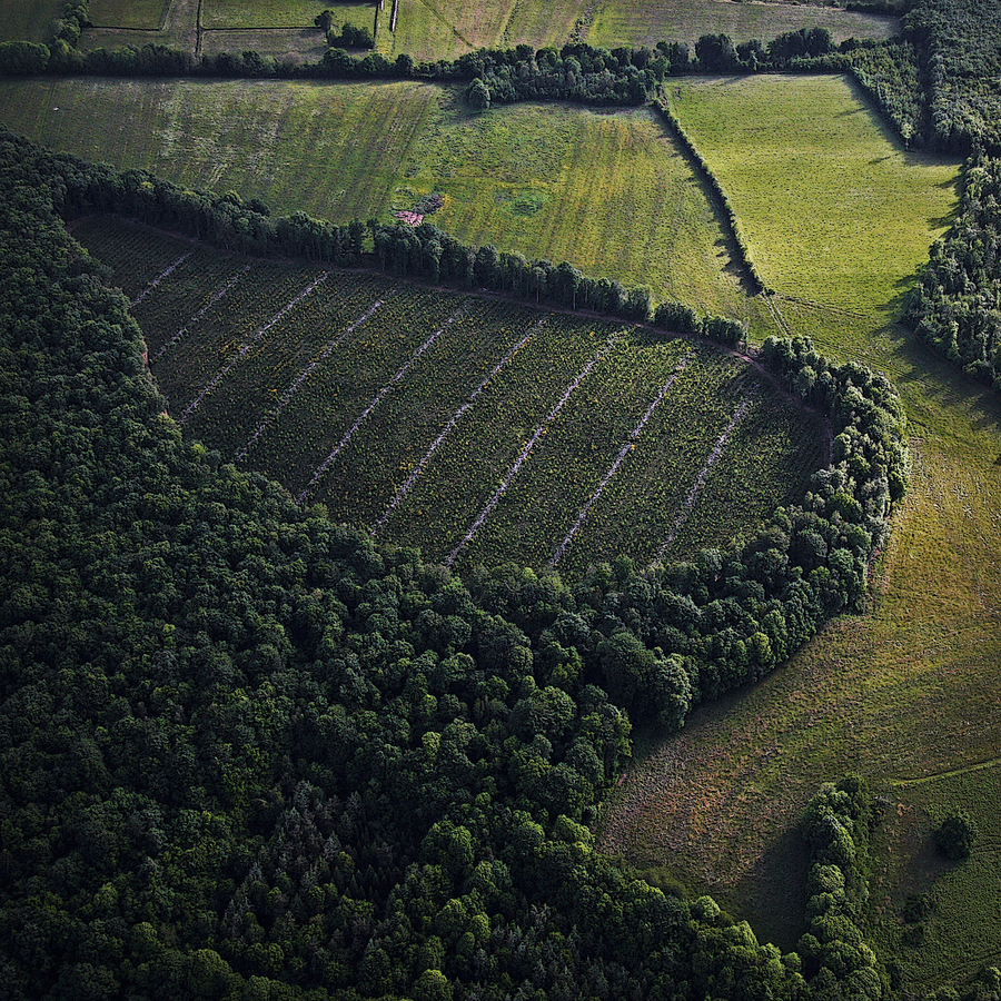 02---oeil-vgtal_51992115799_o