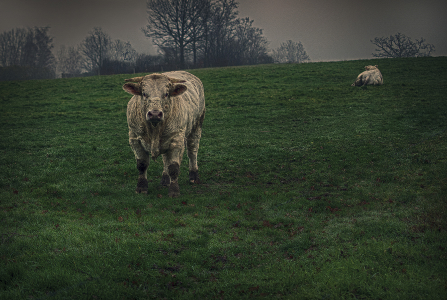 3-zone-surveille--_51991894568_o