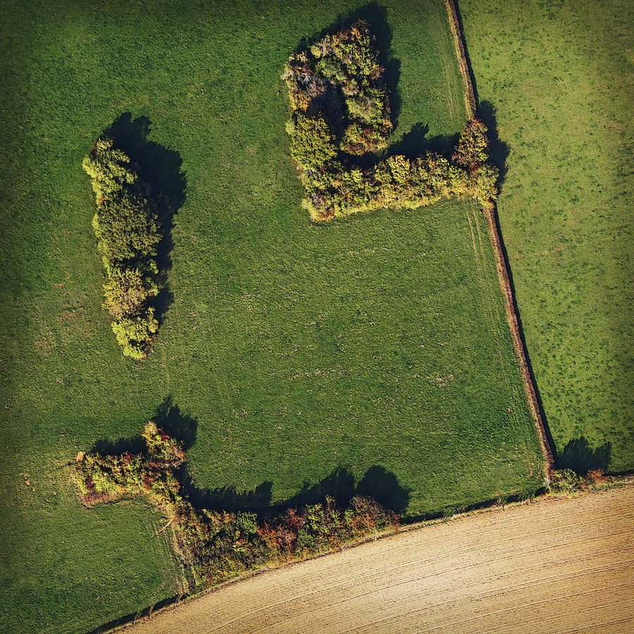 04---le-chien_51992386565_o