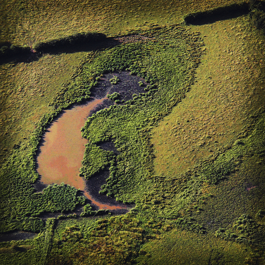 05---rat-des-champs_51992114224_o